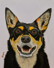 Load image into Gallery viewer, Hand Painted - Kelpie Dog Portrait