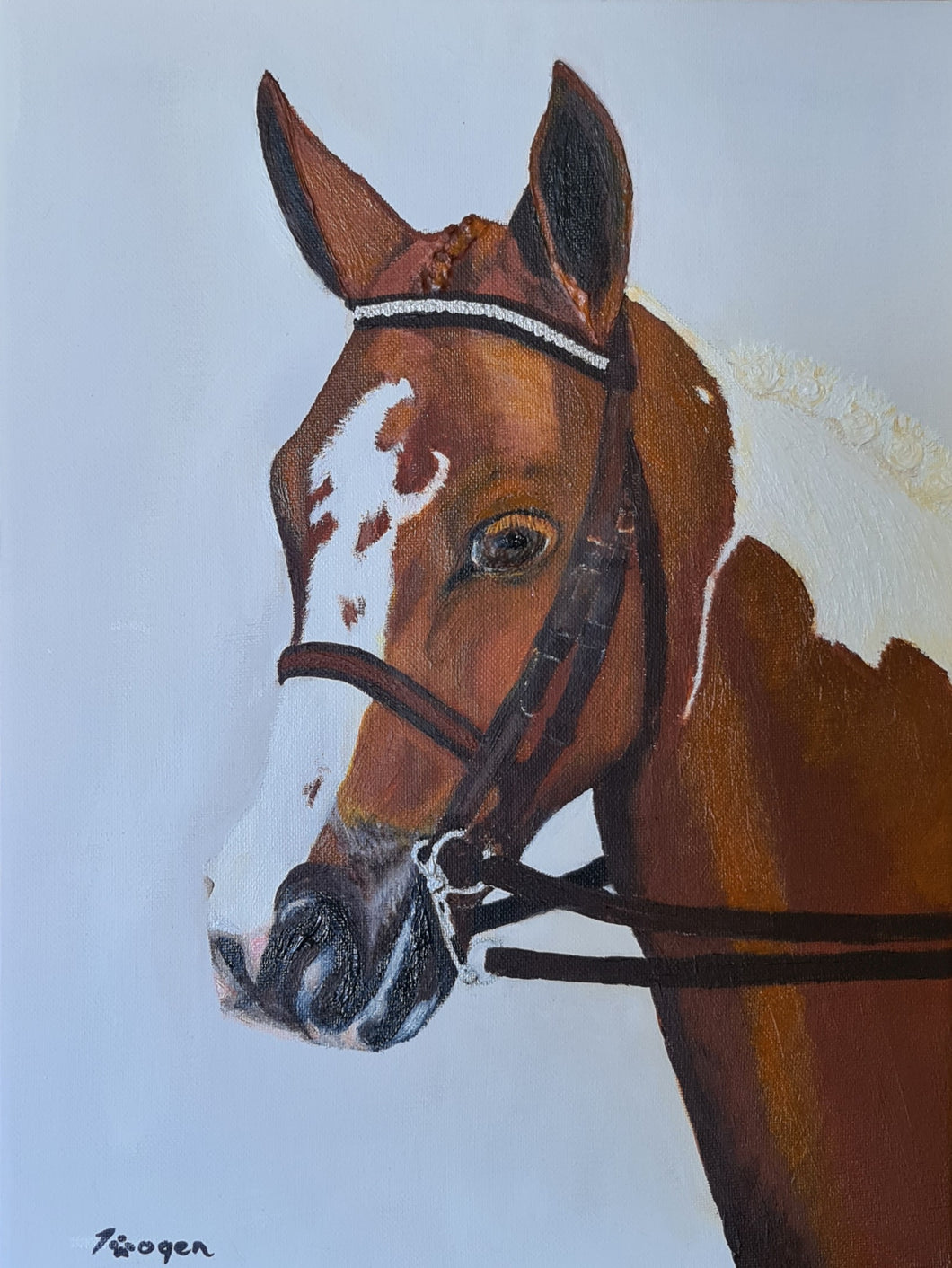 Hand Painted - Chestnut Horse Portrait