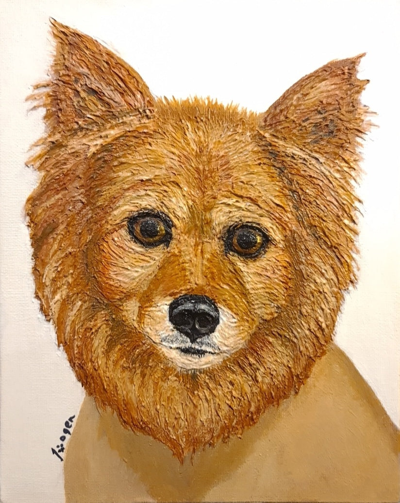 Hand Painted - German Spitz Mittel Dog Portrait