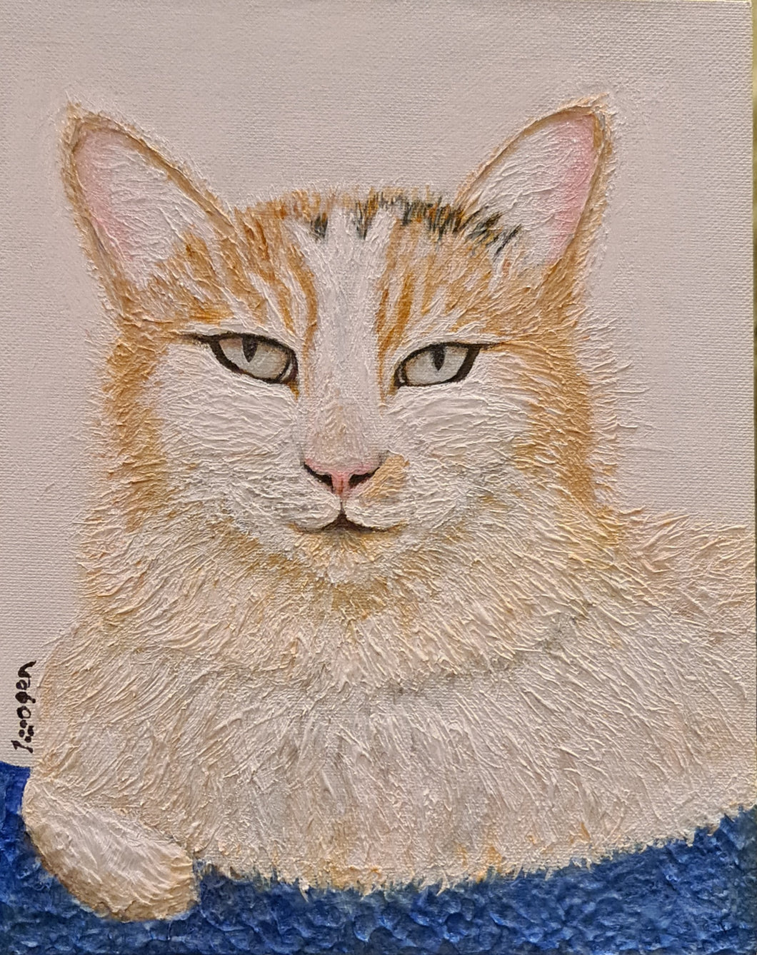 Hand Painted - Domestic Long Hair Cat Portrait