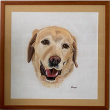 Load image into Gallery viewer, Hand Painted - Golden Labrador Dog Portrait
