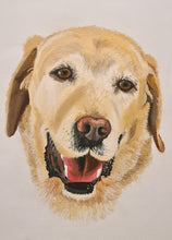 Load image into Gallery viewer, Hand Painted to Order - Golden Labrador Dog by Immie! 
