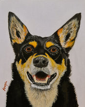 Load image into Gallery viewer, Hand Painted - Kelpie Dog Portrait
