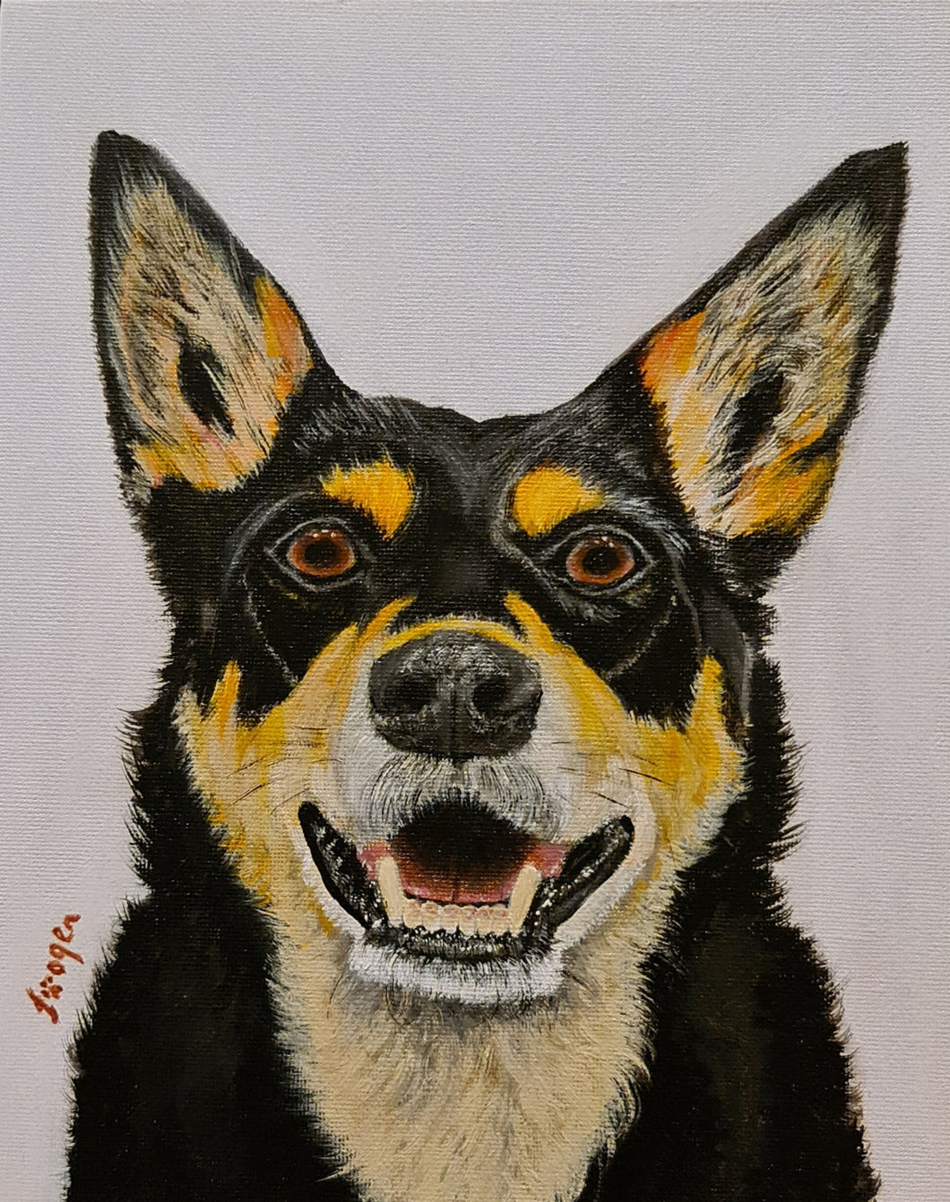 Hand Painted - Kelpie Dog Portrait