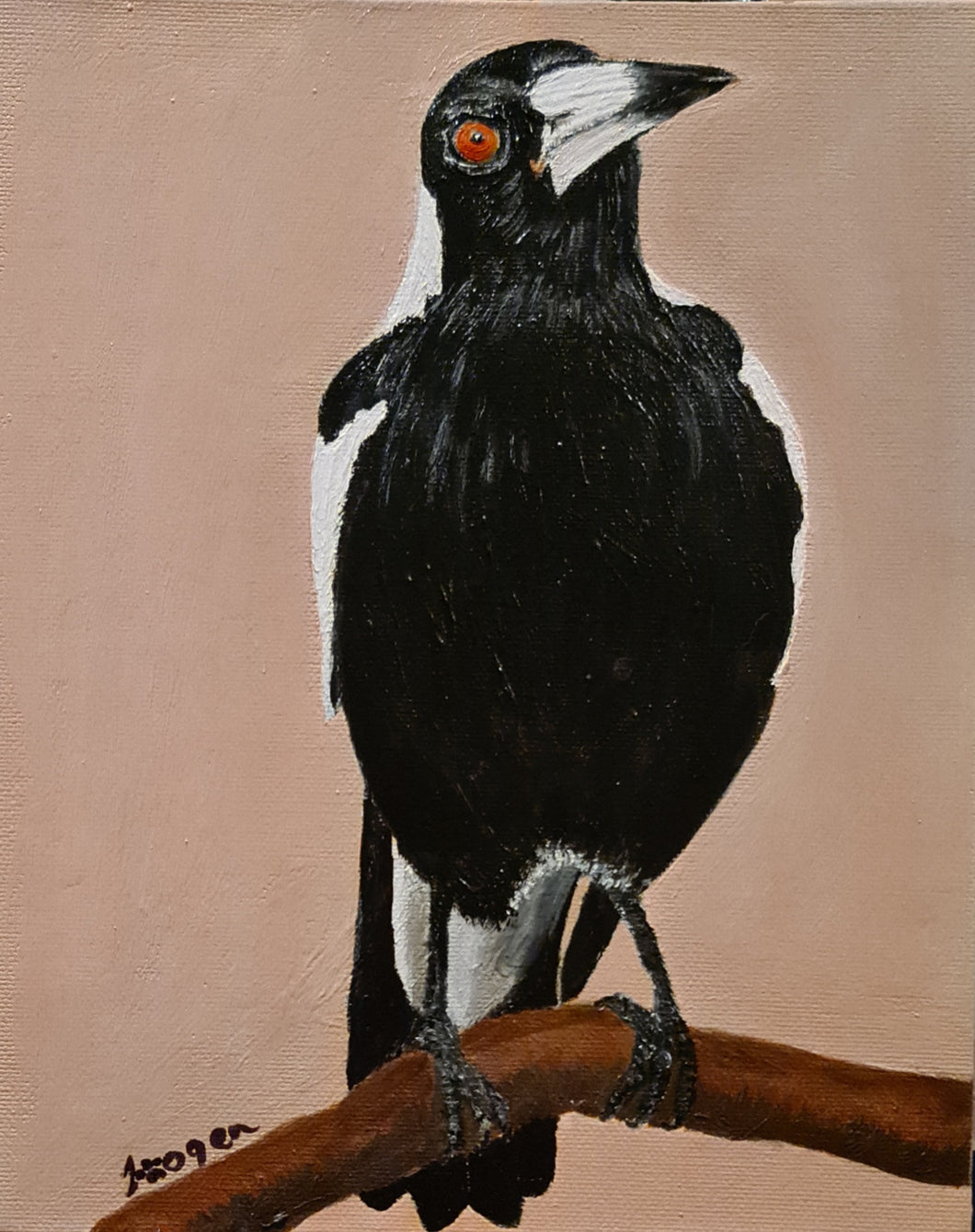 Hand Painted - Magpie Bird Portrait